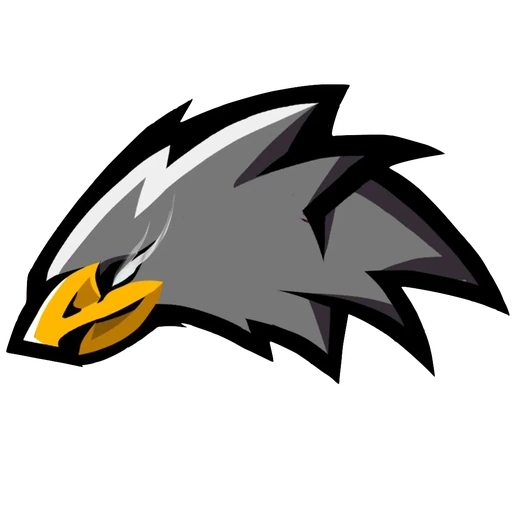 Black Hawks