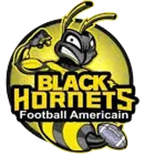 Black Hornets
